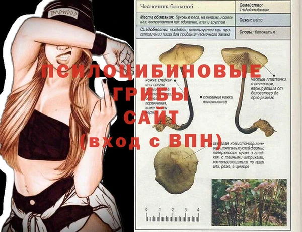 гашиш Володарск