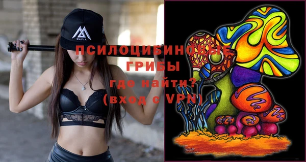 соль ск Верхний Тагил