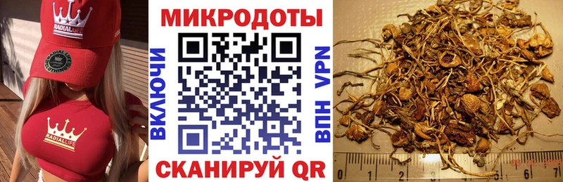 купить закладку  Уссурийск  Псилоцибиновые грибы MAGIC MUSHROOMS 